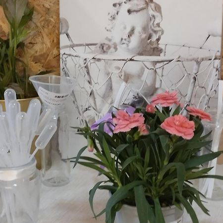 Le Laboratoire Shabby Chic De La Parfumerie Du Manoir Chavagne Экстерьер фото